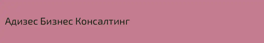 Адизес Бизнес Консалтинг